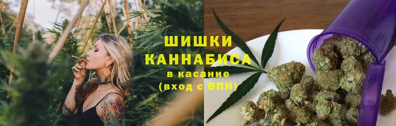 Бошки марихуана конопля  закладки  Амурск 